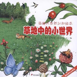【正版】奇趣大自然认知绘本 草地中的小世界 弗卢西奥·库恰里尼