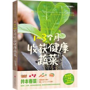 【正版书】 1～3个月收获健康蔬菜 [日] 井本春菜 著 北京联合出版公司