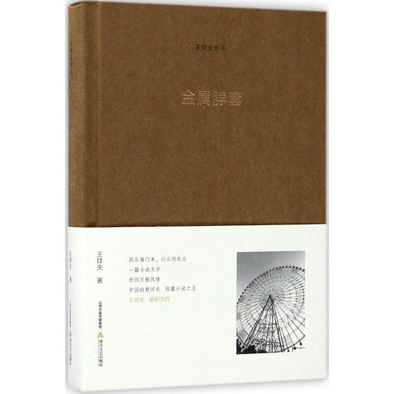 【正版书】 金属脖套·王祥夫作品 王祥夫 著 北岳文艺出版社