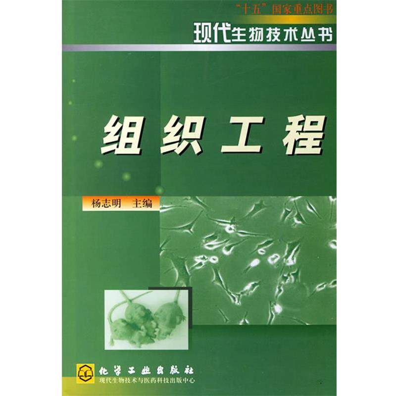 【正版书】 组织工程—现代生物技术丛书 杨志明 主编 化学工业出版社