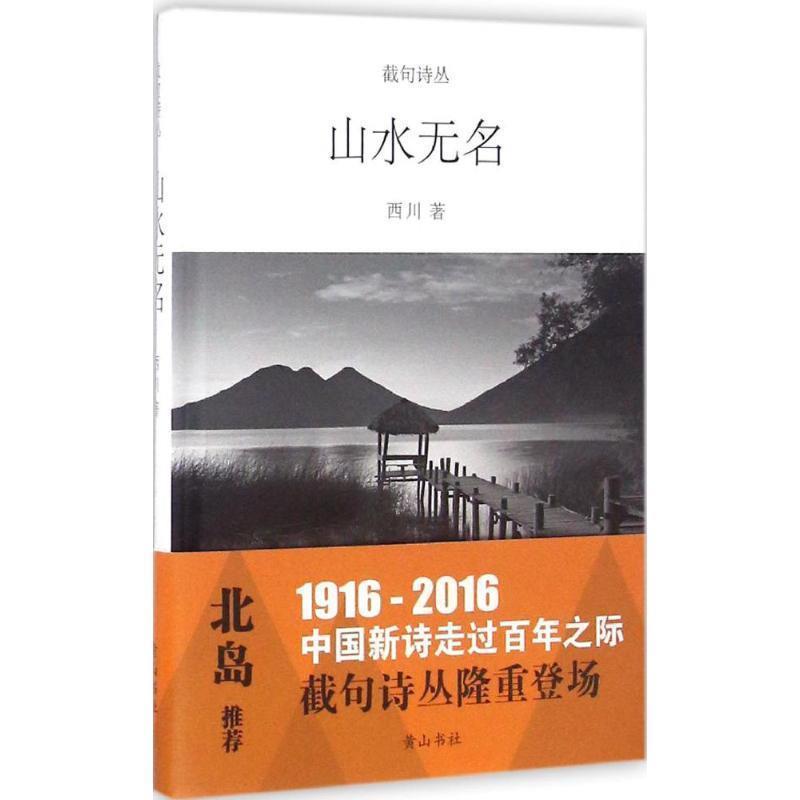 【正版】截句诗丛 山水无名 西川