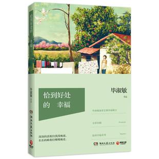 恰到好处的幸福9787540465018 正版