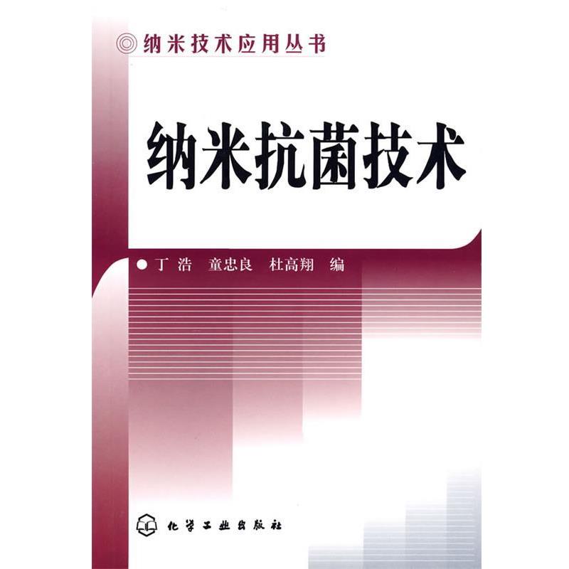 【正版书】 纳米技术 丁浩,童忠良,杜高翔 编 化学工业出版社