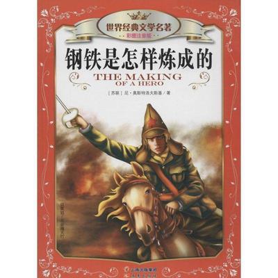 【正版书】 世界经典文学名著:钢铁是怎样炼成的 尼·奥斯特洛夫斯基, 龚勋 晨光出版社