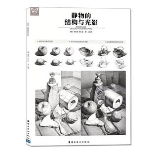 【正版】静物的结构与光影 画中话 江振坤、陈伯尧、周仁