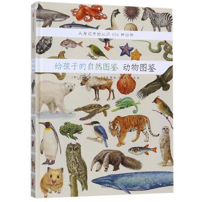 【正版书】 给孩子的自然图鉴：动物图鉴 [韩]金是荣等 绘 中信出版集团，中信出版社