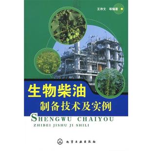 【正版书】 生物柴油制备技术及实例 王存文 编著 化学工业出版社
