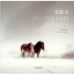 【正版】雪原马 李刚 摄影