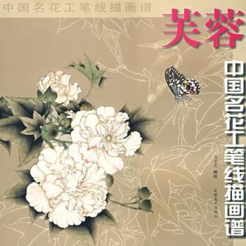 【正版书】 中国名花工笔线描画谱：芙蓉 马景芝 绘 安微美术出版社