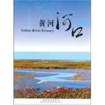 【正版】黄河河口 李国英