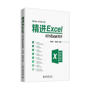 【正版书】 精进Excel：成为Excel高手 周庆麟,周奎奎 北京大学出版社