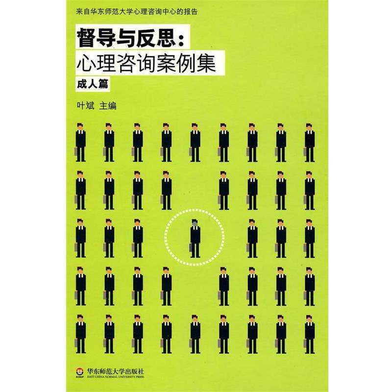 【正版书】 督导与反思:心理咨询案例集 叶斌 主编 华东师范大学出版社