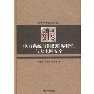 【正版】电力系统自组织临界特性与大电网安全 梅生伟、薛安成、张雪