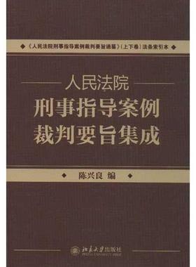 【正版】人民法院刑事指导案例裁判要旨集成 陈兴良
