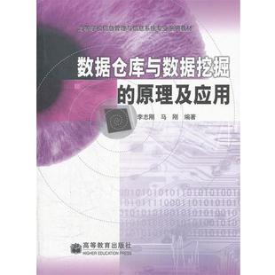 【正版】数据仓库与数据挖掘的原理及应用(高等学校信息管理与信息系统专 李志刚,马刚