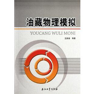 【正版书】 油藏物理模拟 王家禄等 著 石油工业出版社