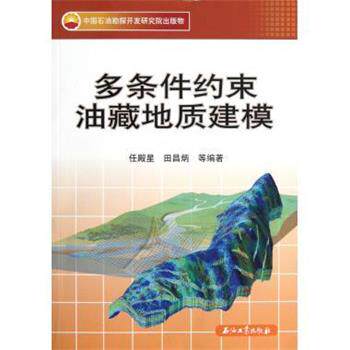 【正版书】 多条件约束油藏地质建模 任殿星,田昌炳 等 著 石油工业出版社