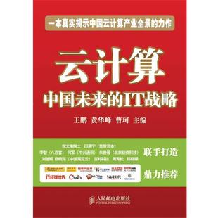 中国未来 云计算 IT战略 王鹏 曹琹 黄华峰 正版