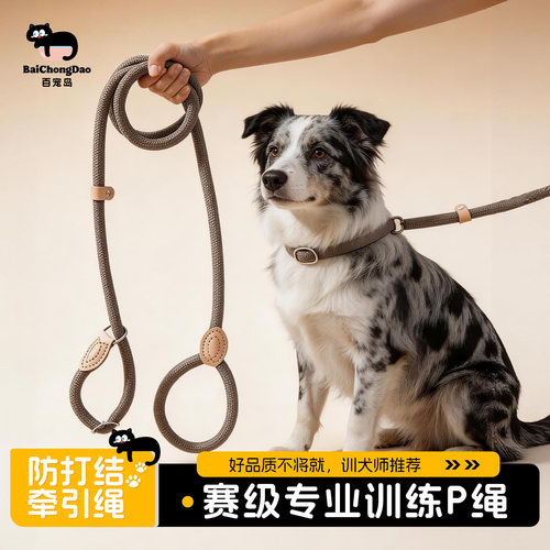 赛级P绳防爆冲防挣脱狗狗牵引绳