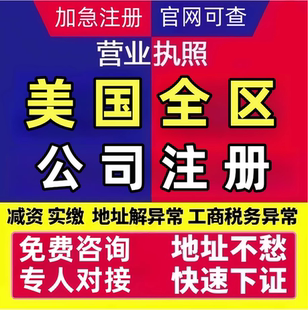 美国公司注册亚马逊TEMU申请办理年审注册银行开户海外执照加急