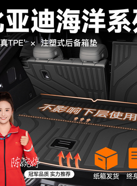 比亚迪海豹05DMI/海豹06GT/海狮07EV专用后备箱垫TPE尾箱垫子新车