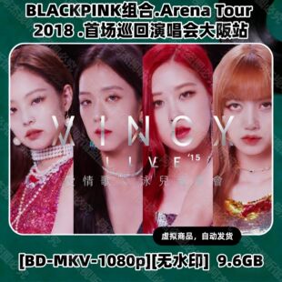 BLACKPINK演唱会大阪站2018 HD视频素材文件1080P韩语画质演唱会
