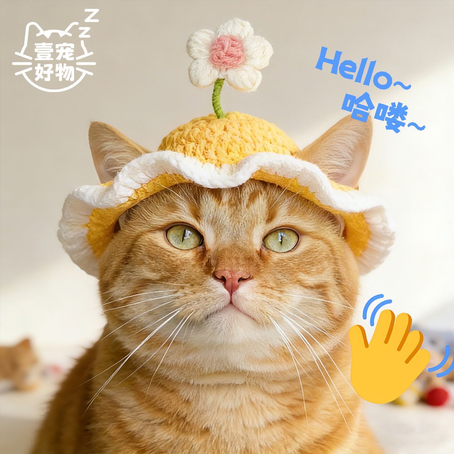 小花朵可爱猫咪帽子英短猫咪头套多品种可爱咪咪适配波浪针织帽