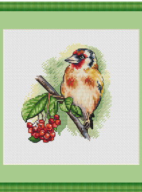 公主绣铺DMC自配套件纯棉线精准印花套件200616小鸟01