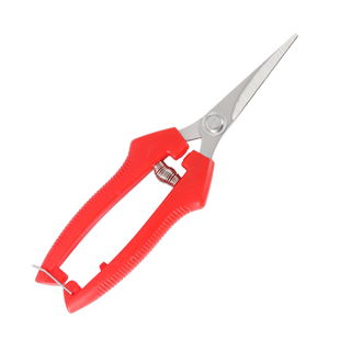 不锈钢摘果剪园艺剪刀修枝剪葡萄火龙果蔬果剪采摘花椒神器专用剪