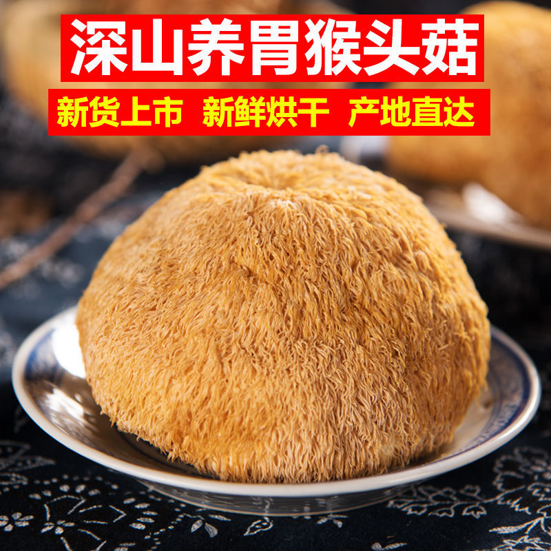 猴头菇干货新东北野生纯长白山猴头菌煲汤养胃粉中药材官方旗舰店