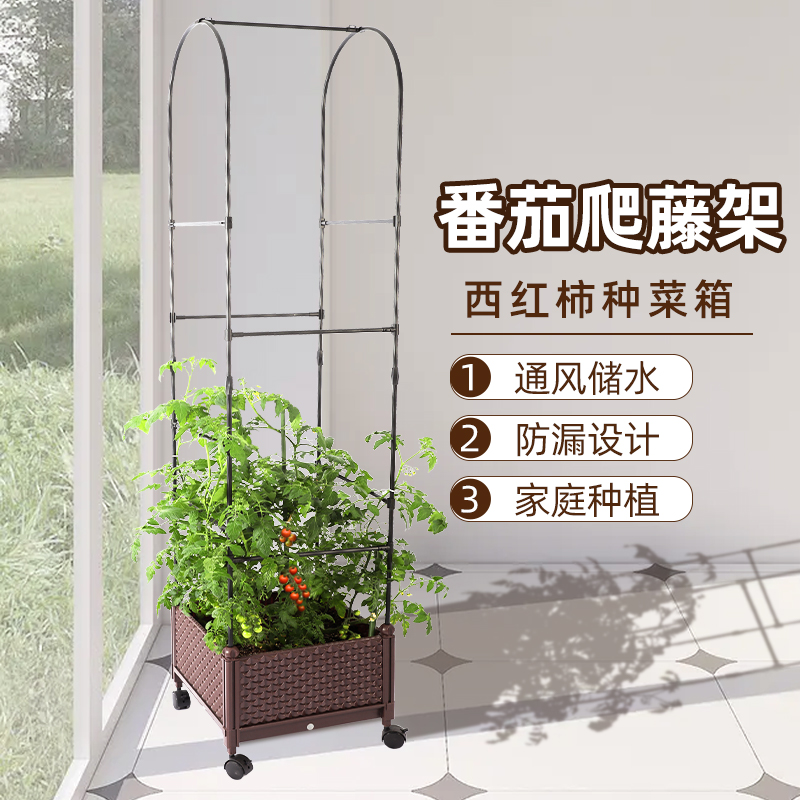 升级款便捷式种菜箱果蔬爬藤架