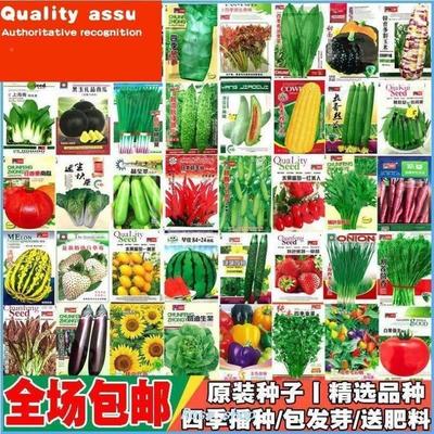 Four Seasons Pot Planting of Various Vegetable Seeds