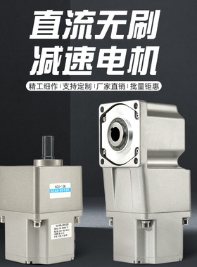 24v/48v直流无刷减速电机220v交流调速恒扭矩 输送线齿轮调速马达