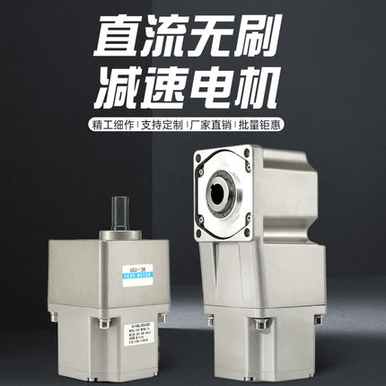 无刷调速电机恒扭矩可调变速减速电机低速大扭矩交流220V调速马达