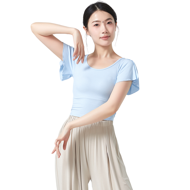 2025秋冬成人古典短袖舞蹈练功服新款小飞袖上衣女跳舞中国飘逸