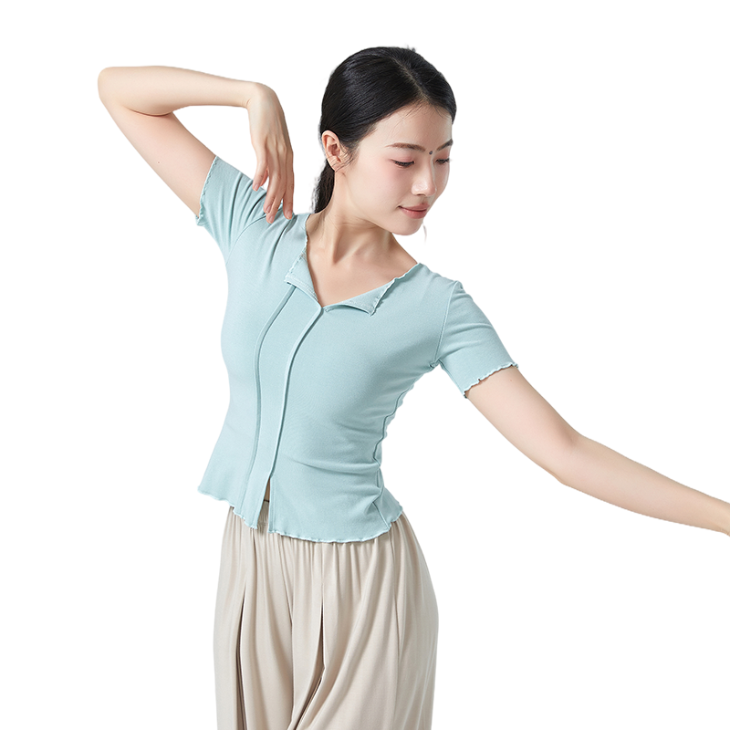 古典舞练功服女秋冬短袖成人舞蹈训练服中国现代舞表演服上衣新款