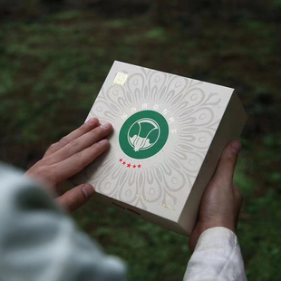 2022年福海班章有机沱茶云南普洱茶生茶250g/盒 礼盒装