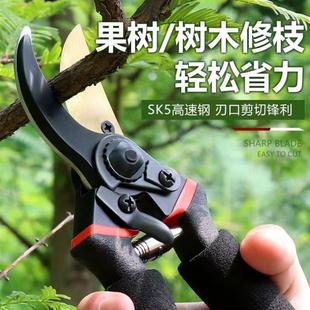 德国进口强力省力树枝剪修枝剪刀粗枝剪果树园林园艺剪葡萄盆栽剪