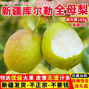 新疆库尔勒香梨当季新鲜水果正宗全母梨子孕妇水果整箱10斤