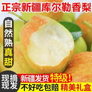 新疆库尔勒香梨10斤当季现摘香梨青梨子冰糖雪梨特产水果整箱