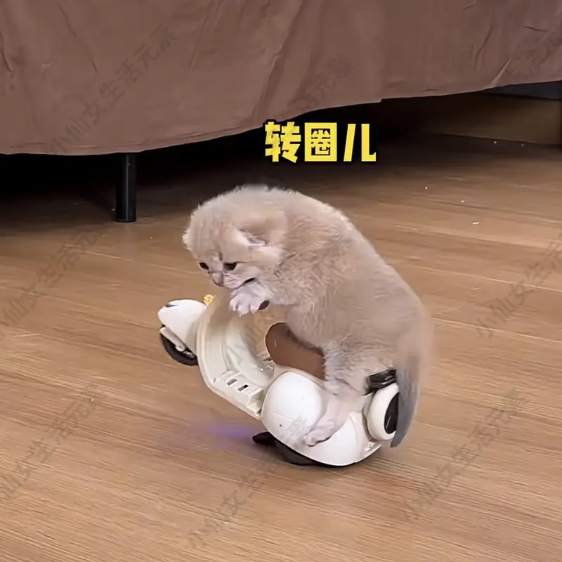 迷你小貓電動車玩具網紅特技旋轉