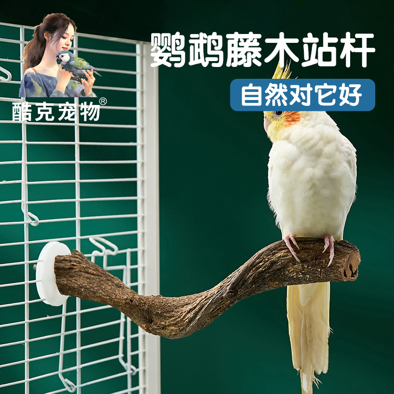酷克宠物鹦鹉站杆站立栖息