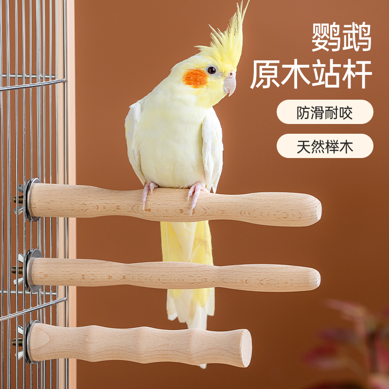酷克宠物鹦鹉原木站杆玩耍啃咬