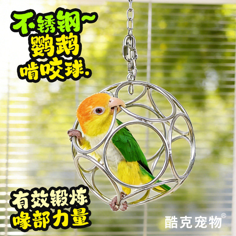 不锈钢玲珑球玩具啃咬解闷磨嘴牡丹玄凤凯克互动鸟玩具磨牙神器,宠物/宠物食品及用品,鸟玩具,淘宝优惠券,粉丝福利购,淘宝优惠卷