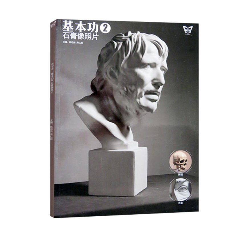 基本功石膏像照片人物五官结构