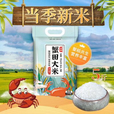新米米蒂蟹田东北大米5斤