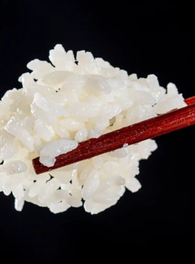 新米现磨东北大米500克1斤真空五常长粒香米稻花香米