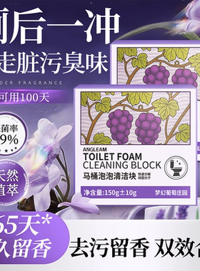 洁厕宝块马桶清洁剂厕所除臭去异味留香熏神器强力除垢去黄蓝泡泡