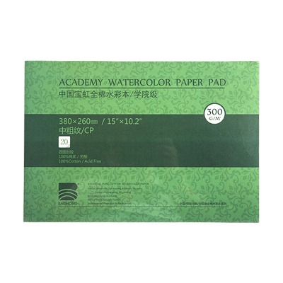 宝虹水彩本棉浆纸张纹理清晰