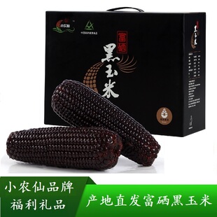 小农仙富硒黑玉米糯香甜黏嫩轻食代餐苞米棒真空包200g10根礼盒装